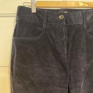 Aritzia - Babaton high waisted navy corduroy pants